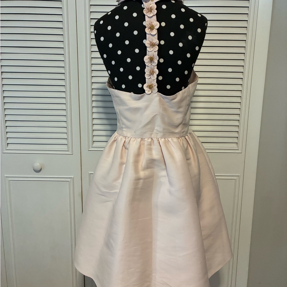 Kate Spade Blush Pink Halter backless dress. Size 12 - Picture 5 of 14